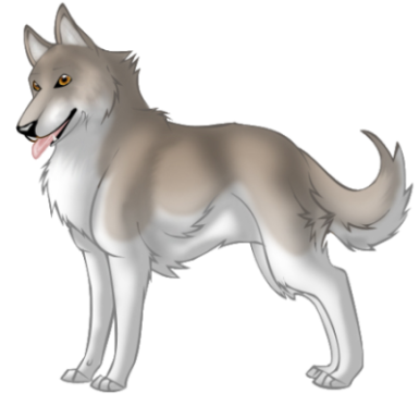 Husky1