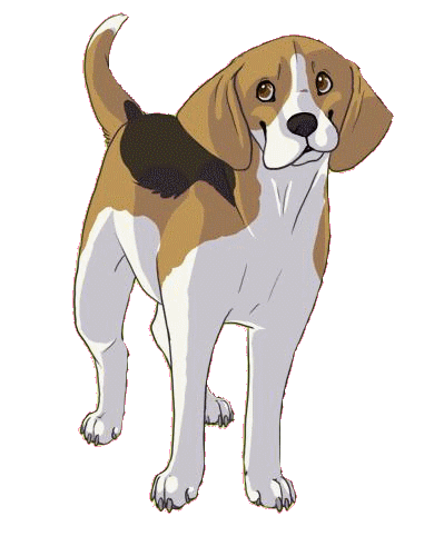 Beagle_www.kepfeltoltes.hu_