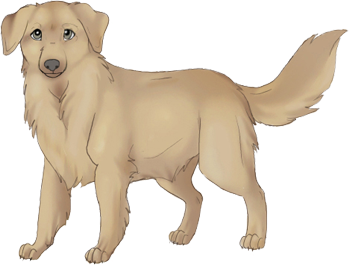 GoldenRetriver1_www.kepfeltoltes.hu_